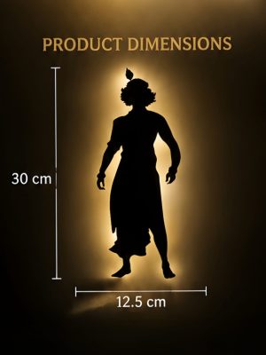 SREE KRISHNA SHADOW ART
